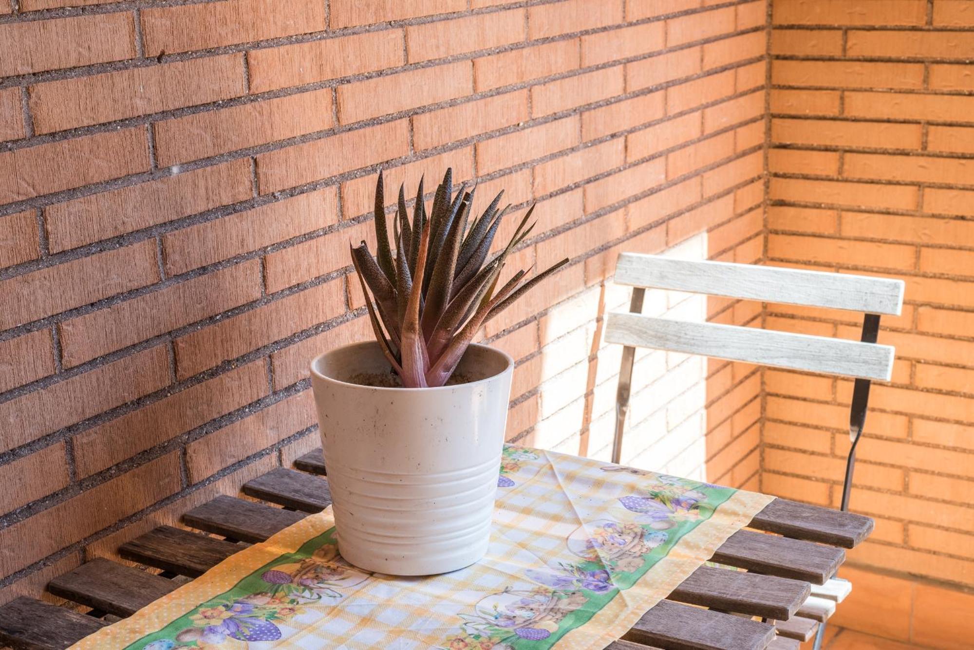 Travelershome Ciampino Suite Eksteriør billede
